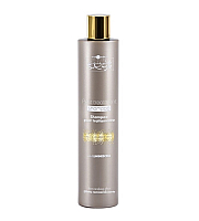 Hair Company Inimitable Style Post-Treatment Shampoo - Шампунь стабилизирующий рН4.5 250 мл
